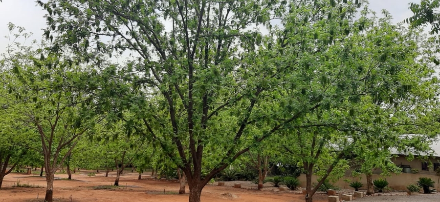 Commercial Property for Sale in Parys Free State